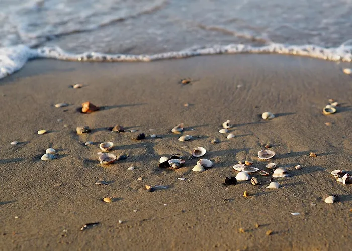 With A Comfortable Sunlit Terrace Апартаменти Бібіоне